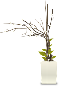 White Blossomed Branchin Vase PNG with transparent background