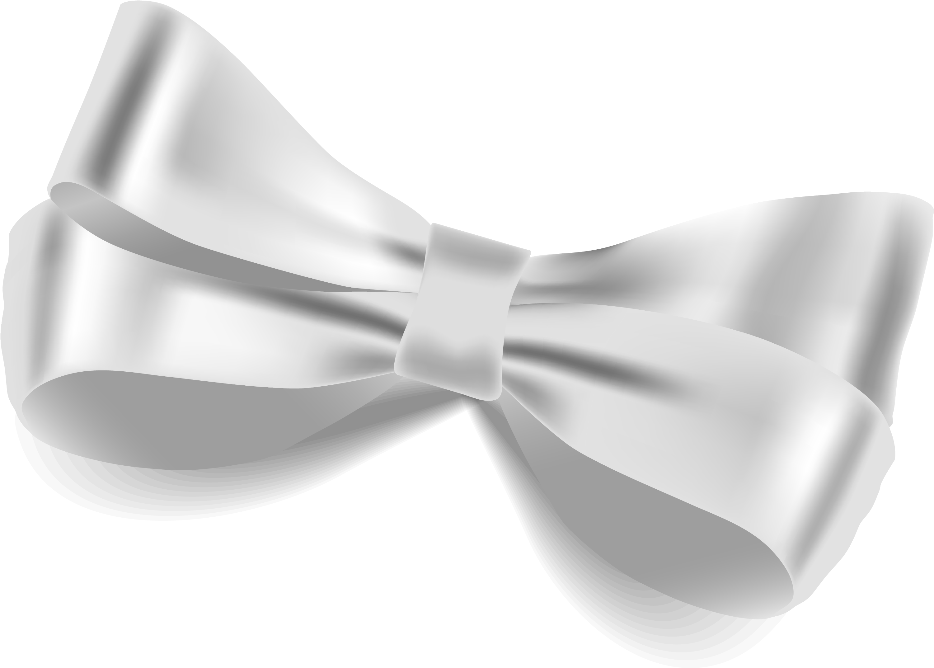 Bow Tie Butterfly White Ribbon - White Bow Tie Png, Transparent Png PNG image with a transparent background, free high-resolution download