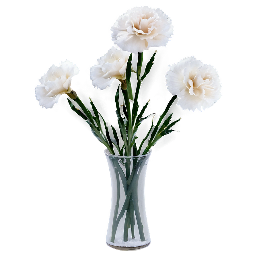 White Carnations Flowers Png Ohw