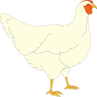 White Chicken Cartoon Illustration PNG with transparent background