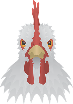 White Chicken Head Illustration PNG with transparent background