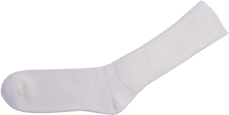 White Crew Sock Isolated