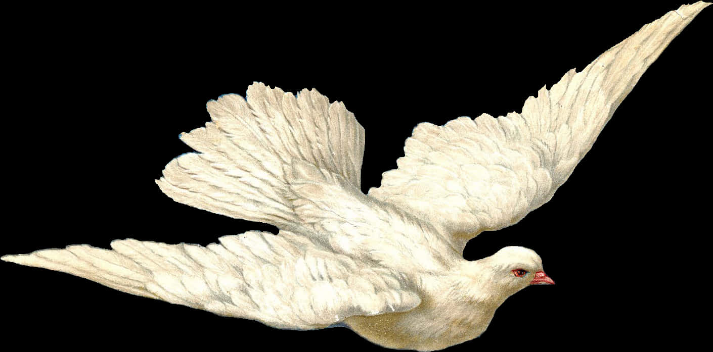 White Dovein Flight PNG with transparent background