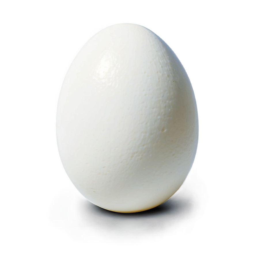 White Egg Isolated Png Ybv