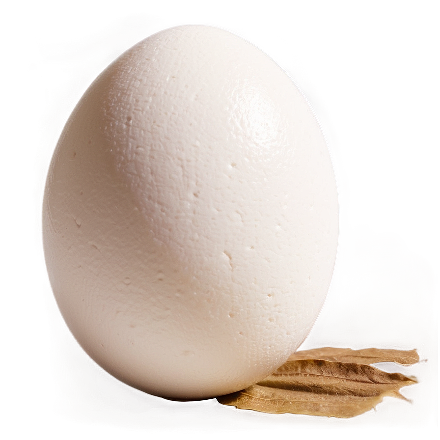 White Egg Natural Light Png 49