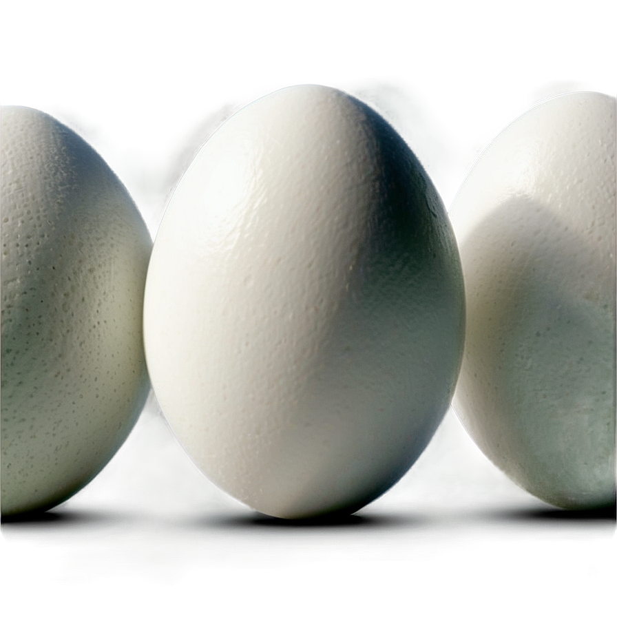 White Egg Natural Light Png Mhe