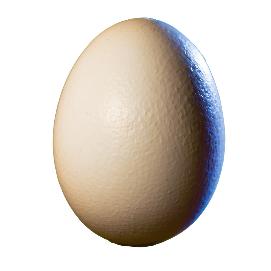 White Egg Stock Image Png 28