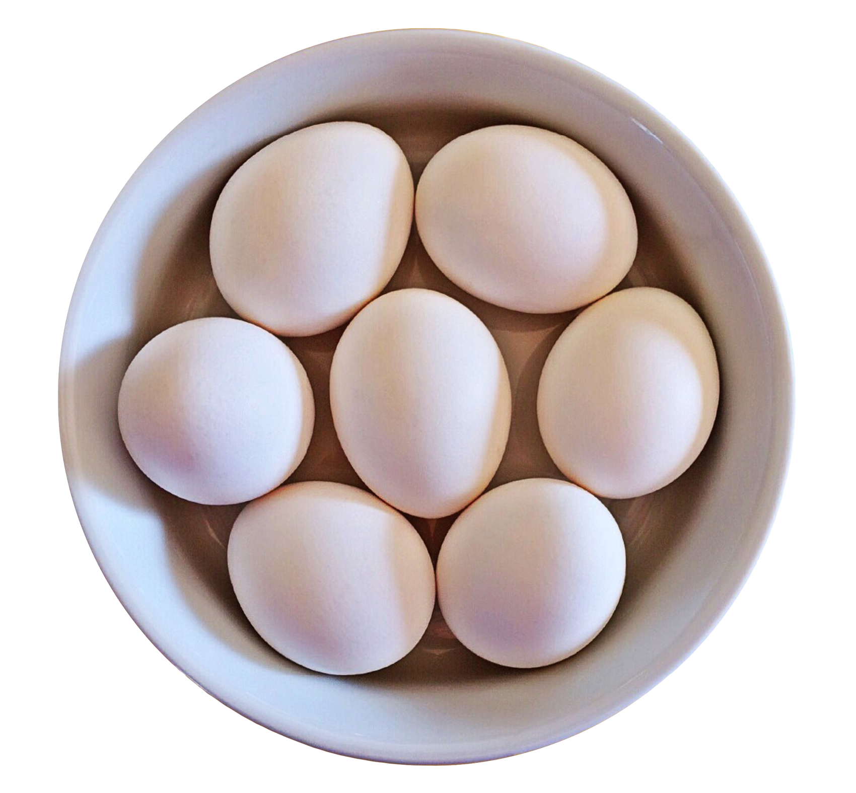 White Eggsin Bowl PNG with transparent background