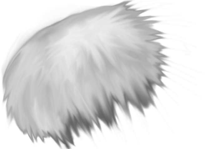 White Feather Drawing Artwork