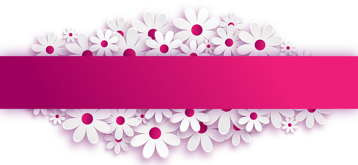 White Floral Bannerwith Pink Stripe PNG with transparent background