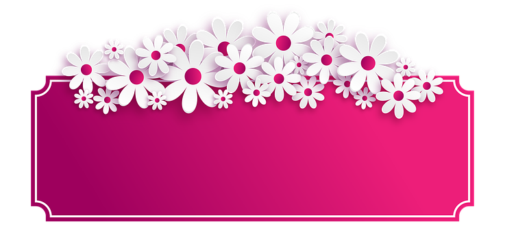 White Floral Borderon Pink Background PNG with transparent background