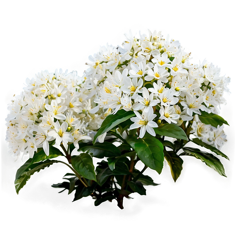 White Flower Bush Png Gam88