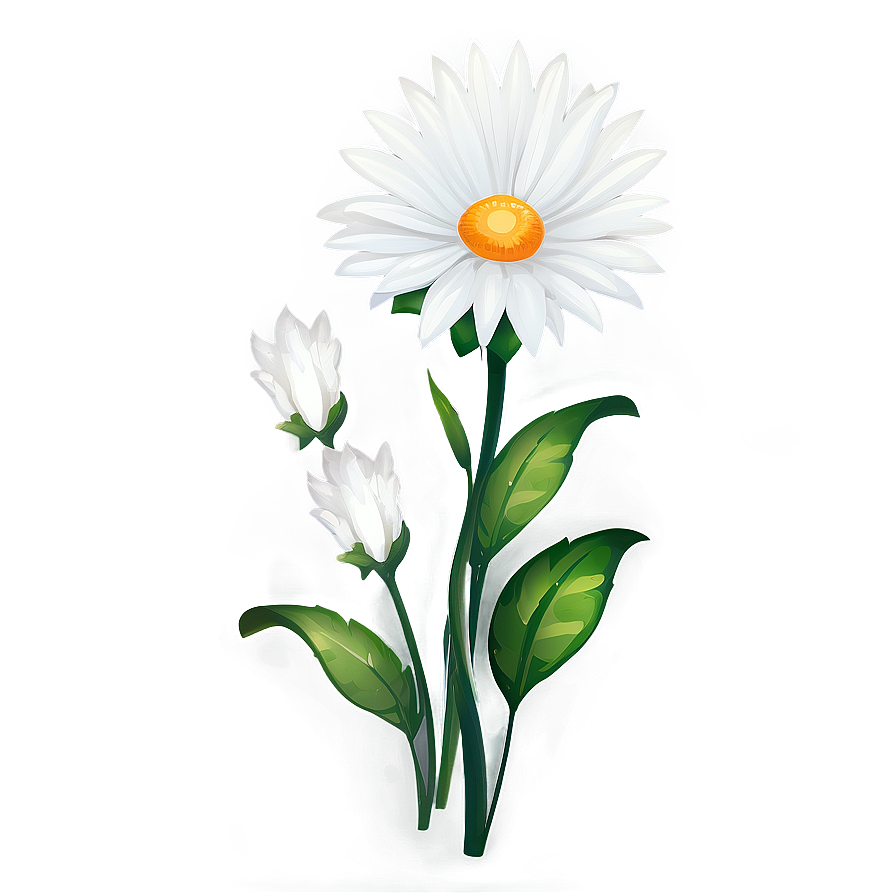 White Flowers Clipart Png Dqb