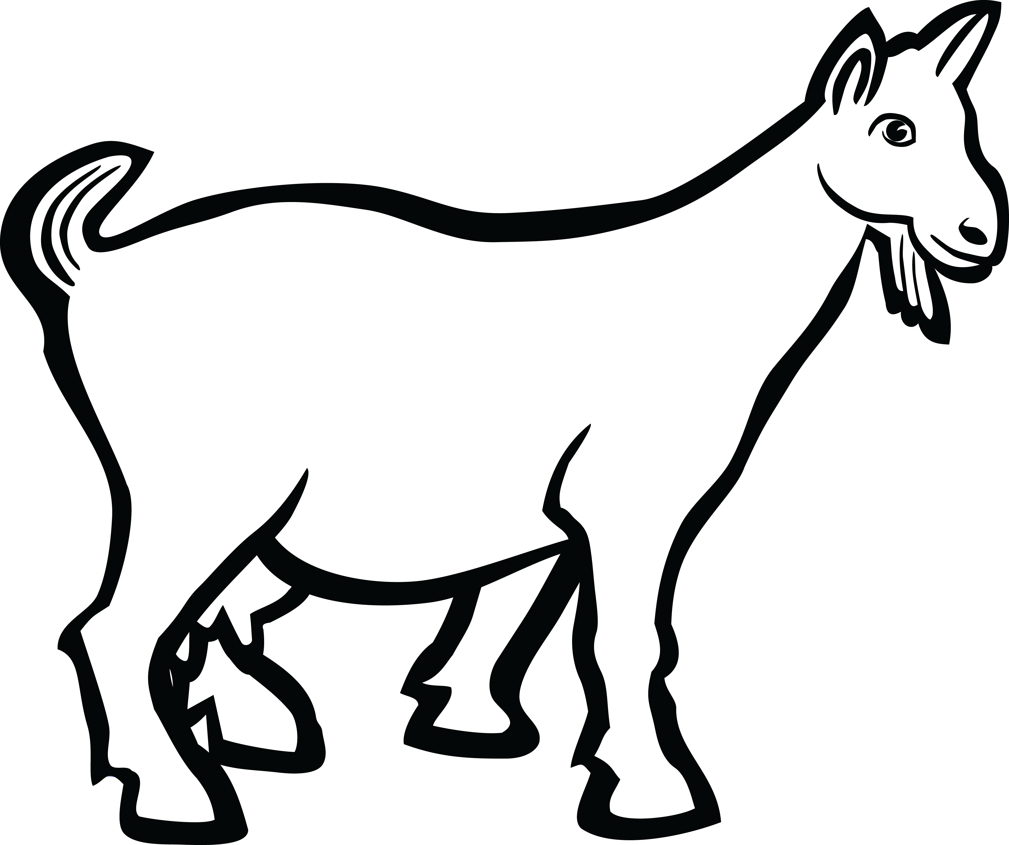 White Goat Illustration