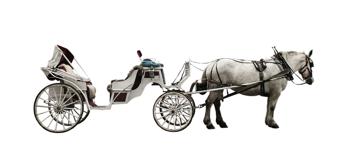 White Horse Drawn Carriage Black Background PNG with transparent background