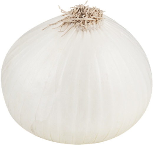 White Onion Png File - White Onion, Transparent Png PNG with transparent background