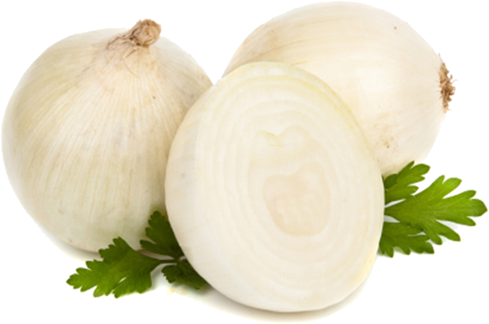 Onion , Png Download - Onion, Transparent Png PNG with transparent background