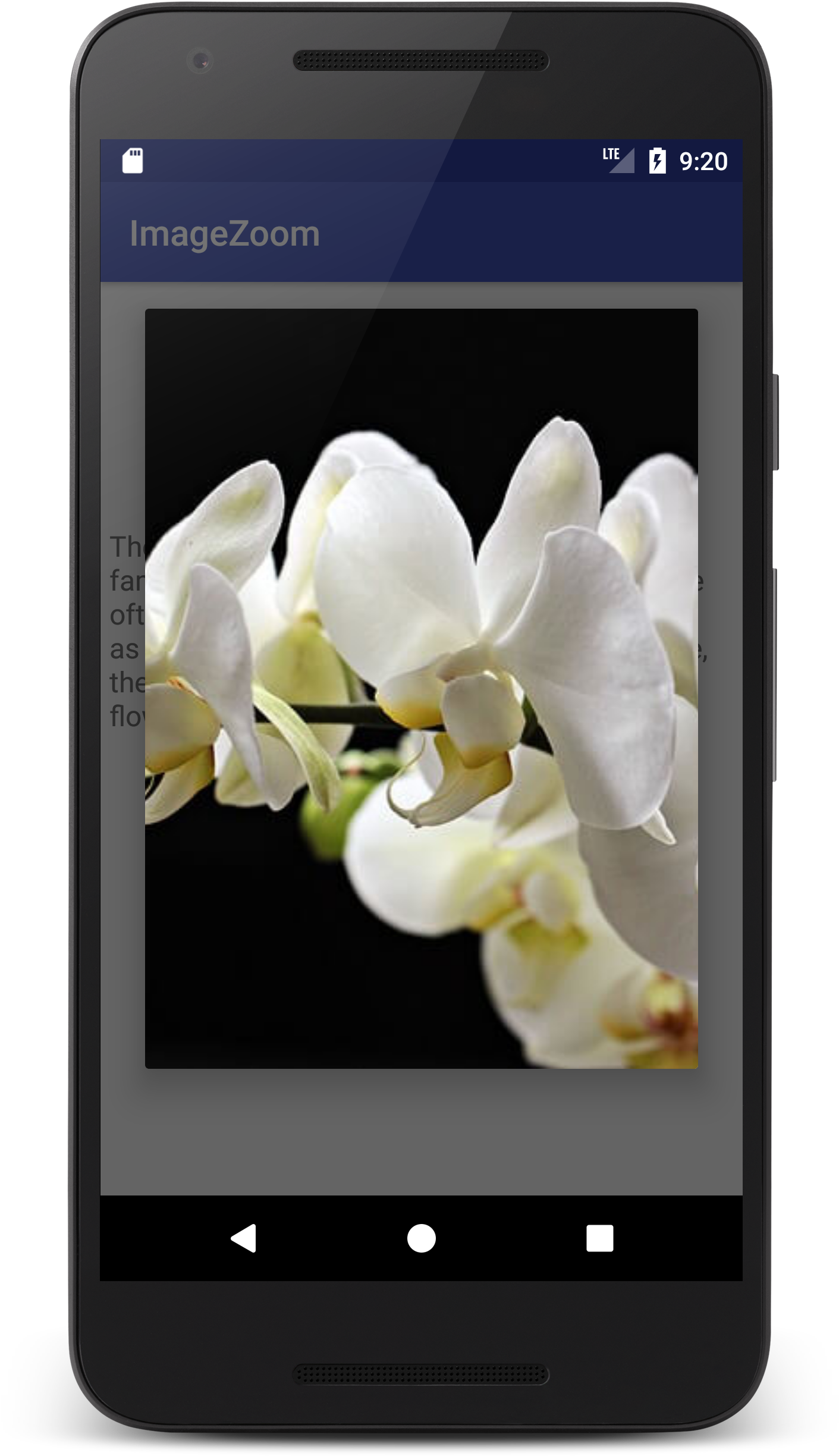 Tap To Zoom Imageview Android, HD Png Download PNG with transparent background