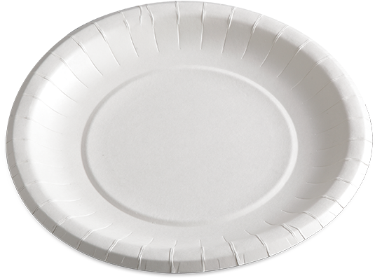 White Paper Plate Simple Design