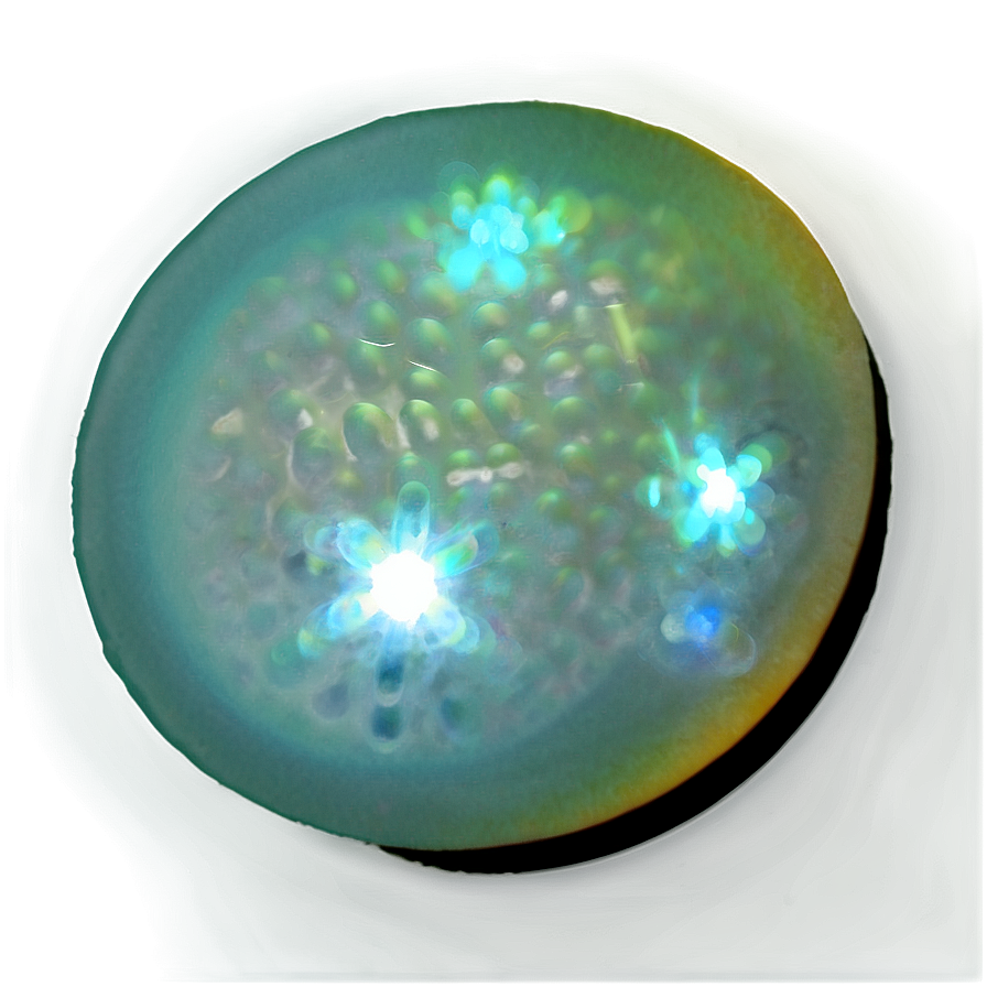 White Pearl PNG odc PNG with transparent background