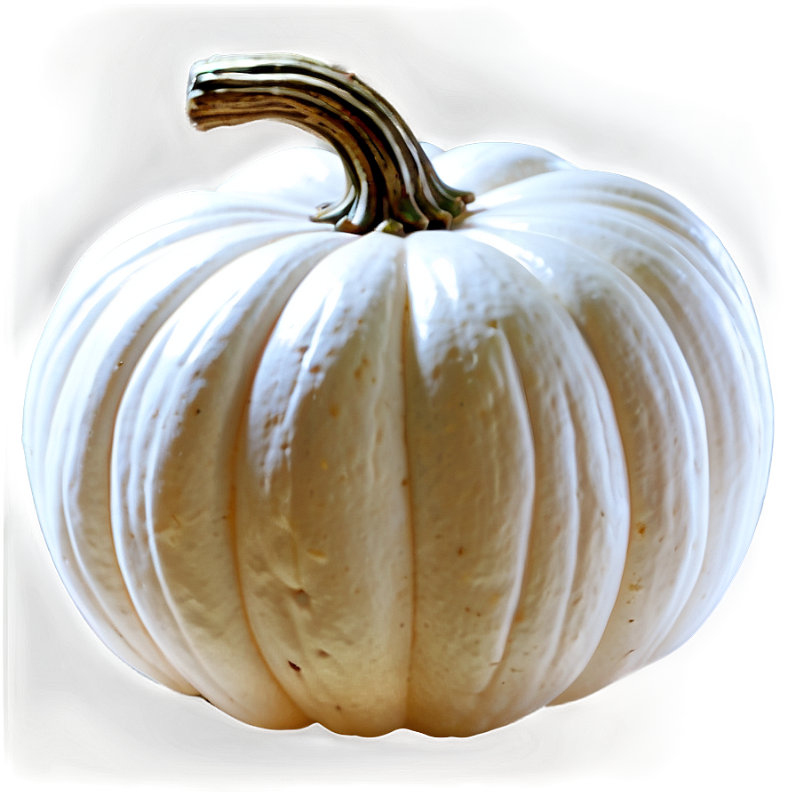 White Pumpkin Clipart Png Xkh