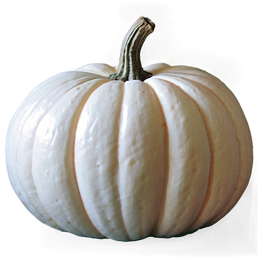 White Pumpkin Decor Idea Png 06212024