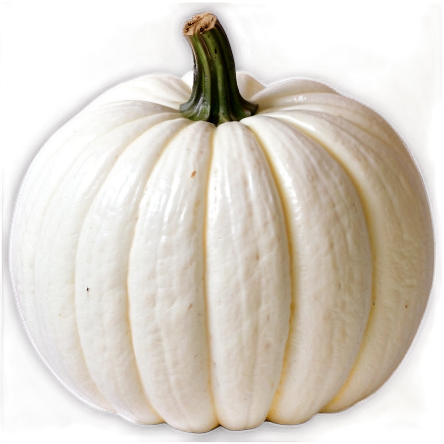 White Pumpkin Display Png Chk