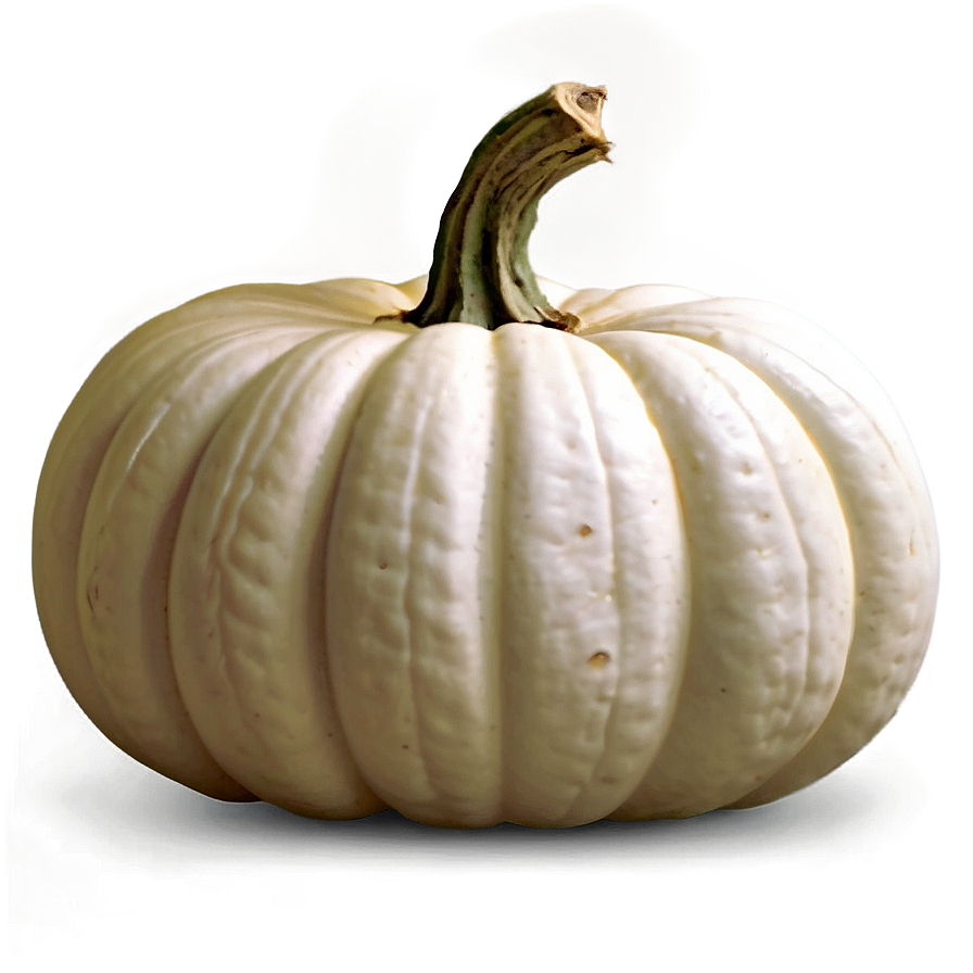 White Pumpkin Festive Png Ghc