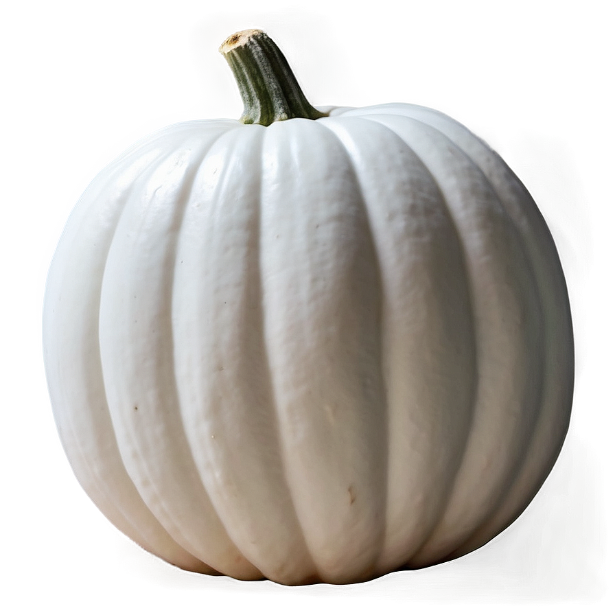 White Pumpkin For Fall Png 06212024