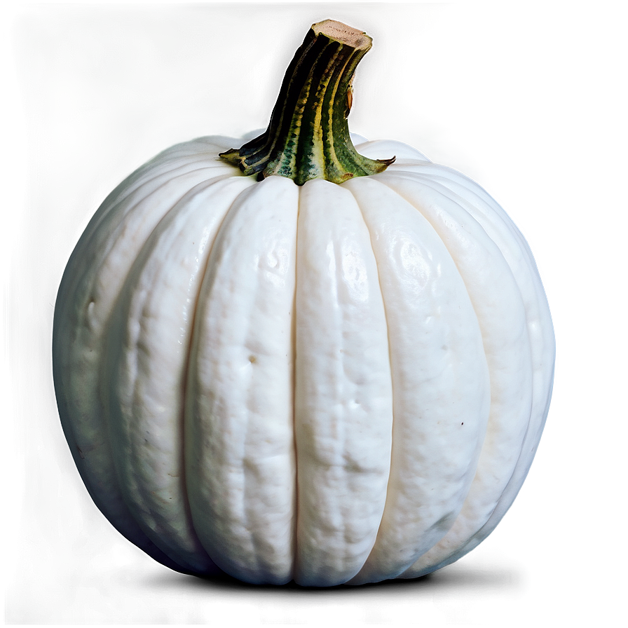 White Pumpkin PNG 3 PNG image with a transparent background, free high-resolution download