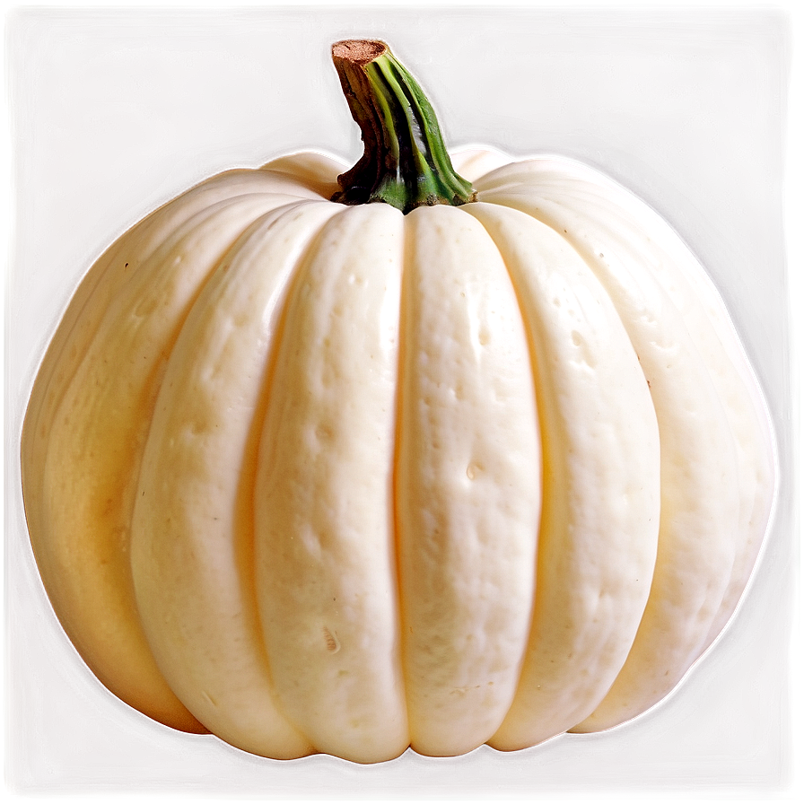 White Pumpkin PNG 69 PNG image with a transparent background, free high-resolution download