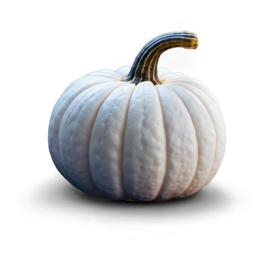 White Pumpkin PNG rlu82 PNG image with a transparent background, free high-resolution download