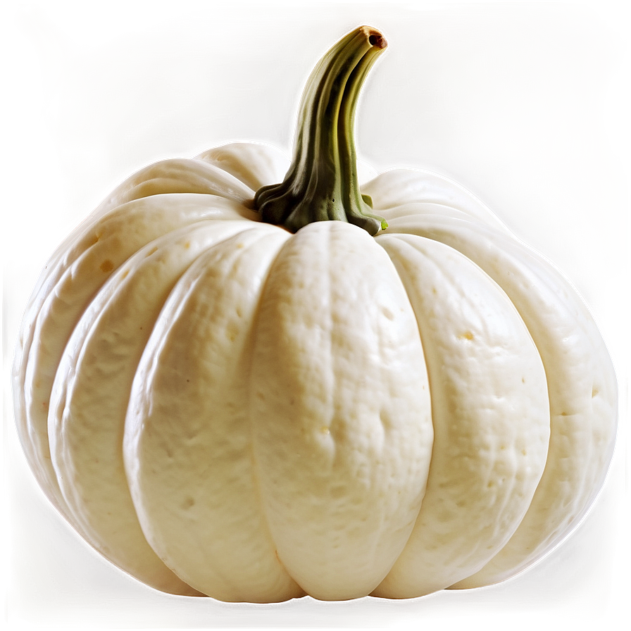 White Pumpkin Seed Png 06212024