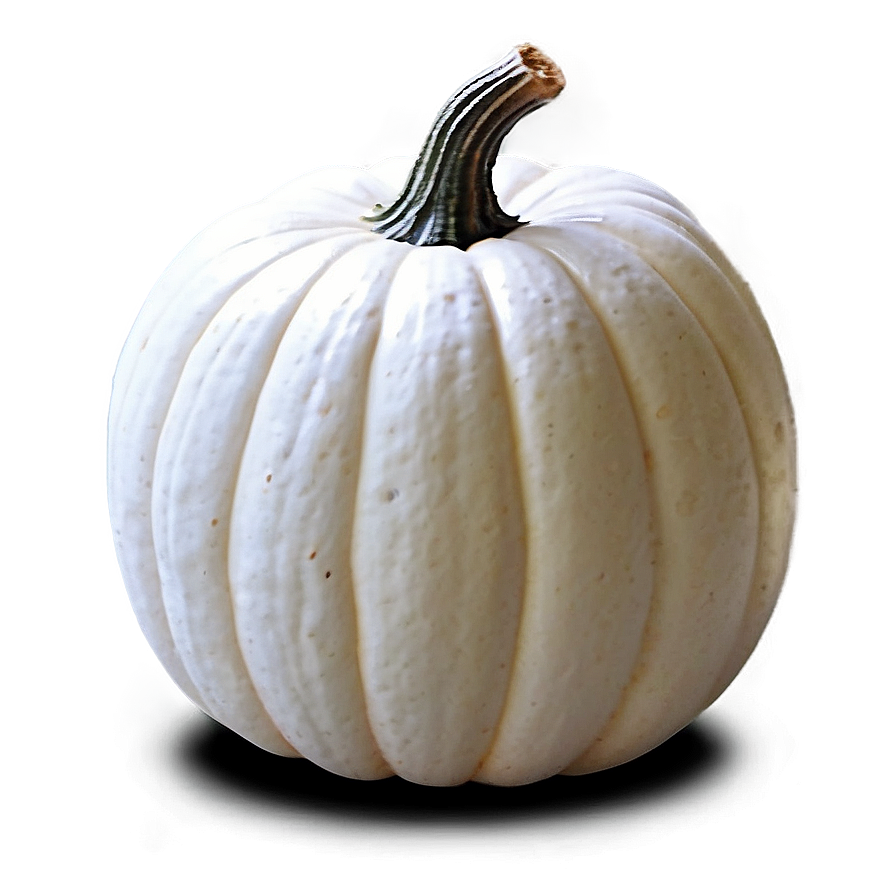 White Pumpkin Stack Png Sqr79