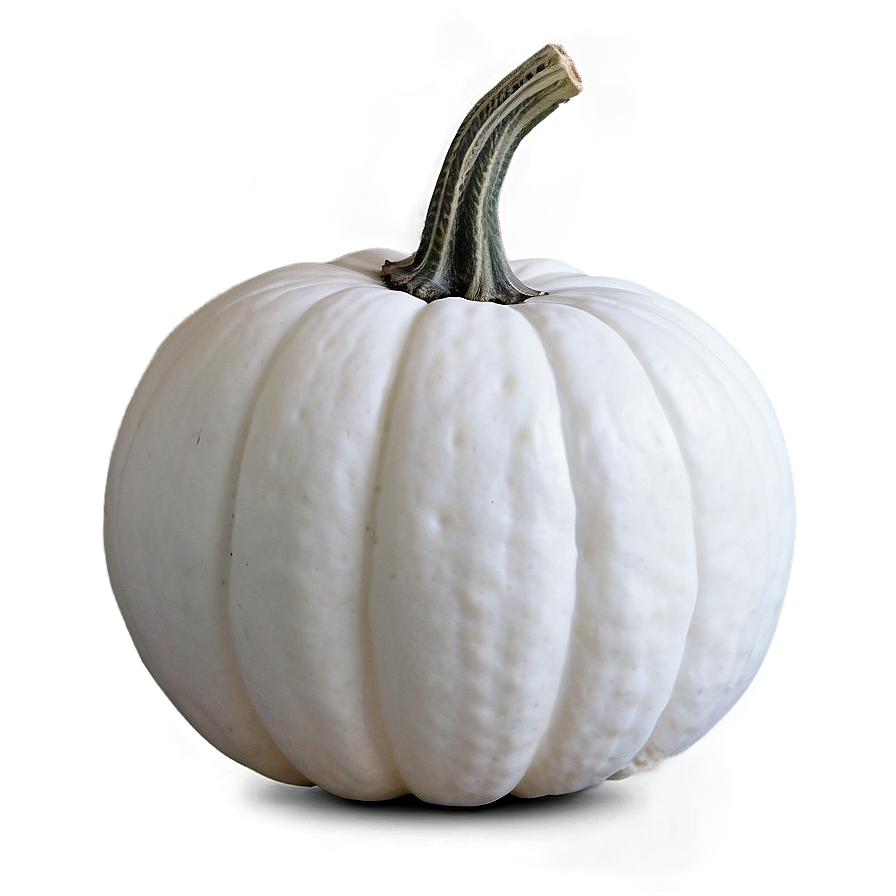 White Pumpkin Template Png 20