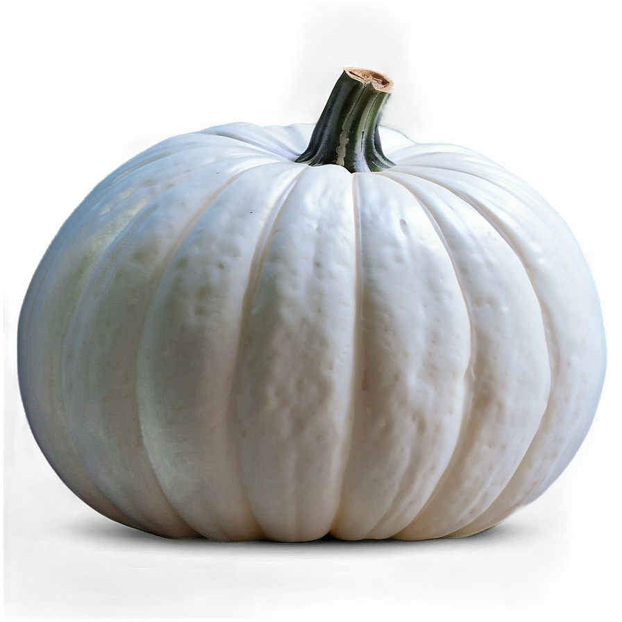 White Pumpkin Template Png Gdo