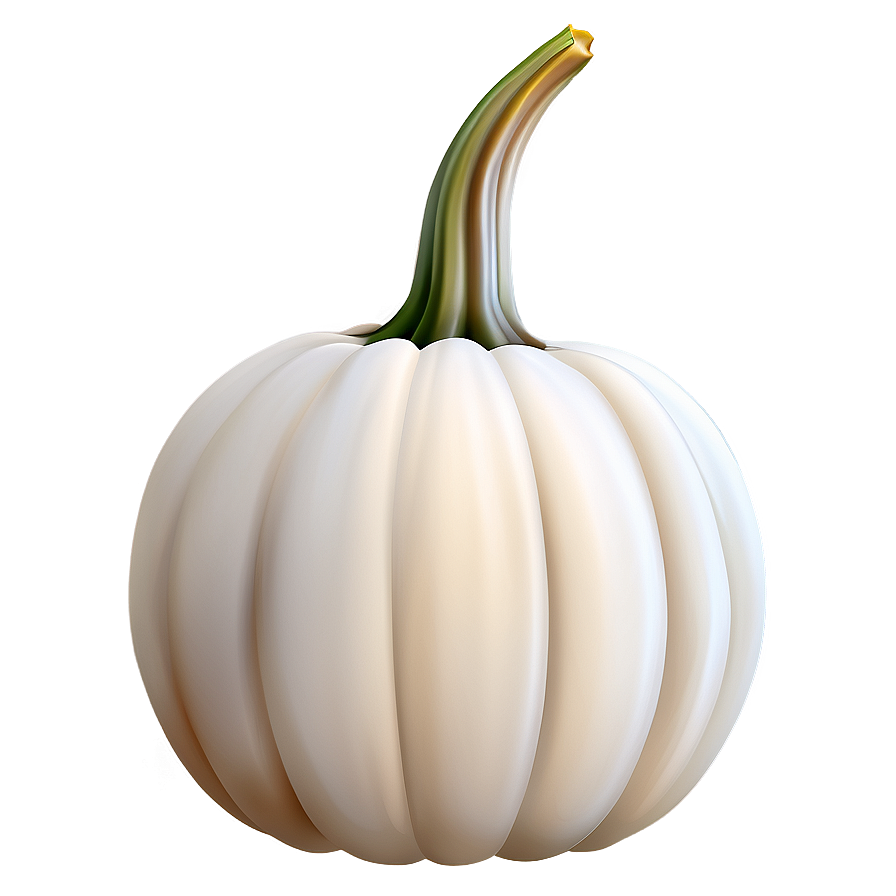 White Pumpkin Vector Png 06212024