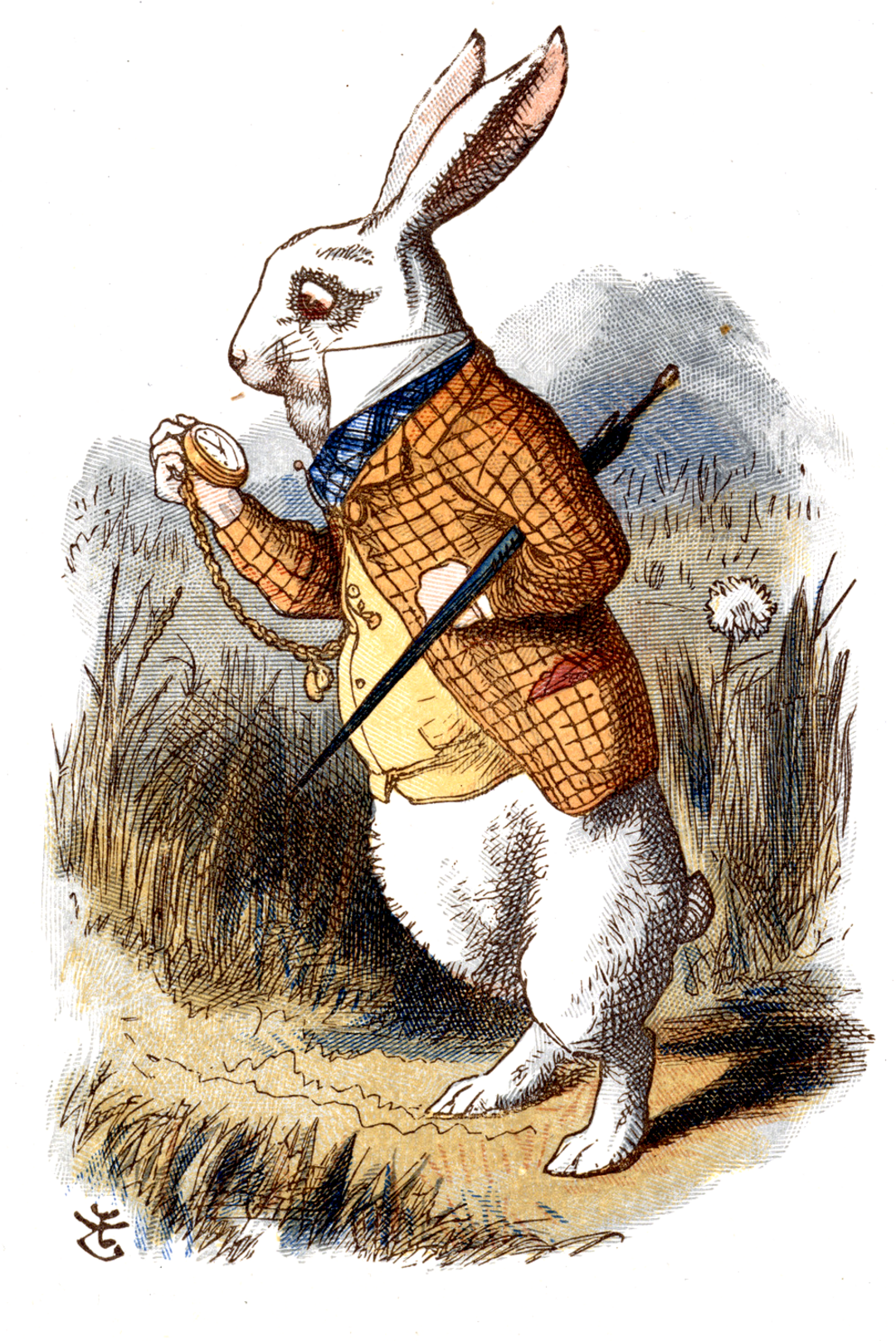 White Rabbit Alice In Wonderland Book, HD Png Download PNG with transparent background
