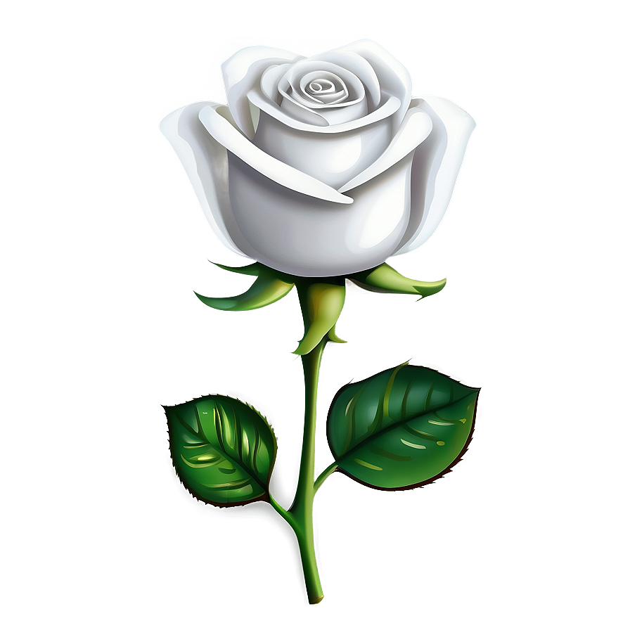 White Rose Png 81