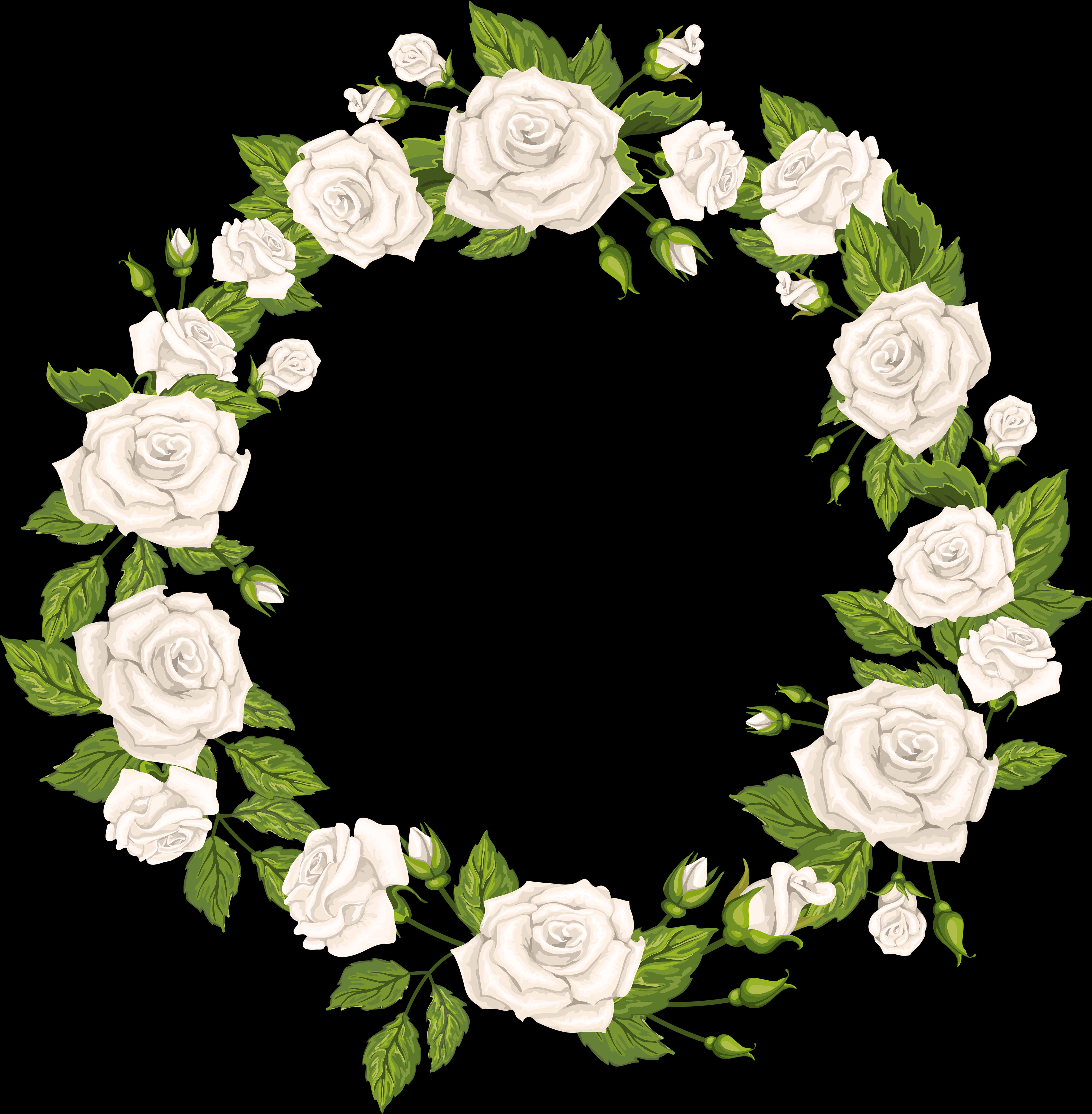 White Rose Wreath Black Background PNG with transparent background