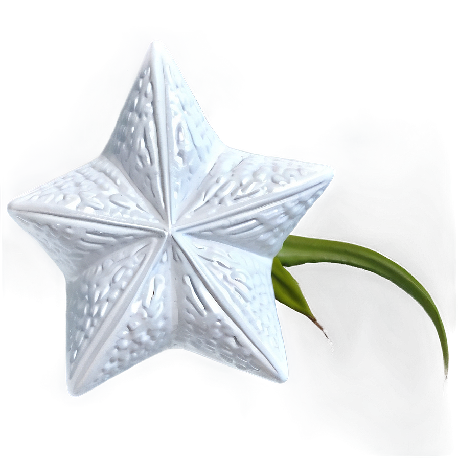 White Star For Textures Png 05042024