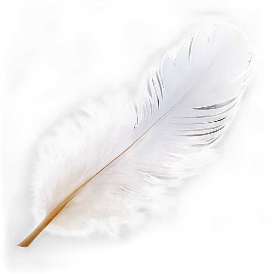 White Swan Feather Png Tlv