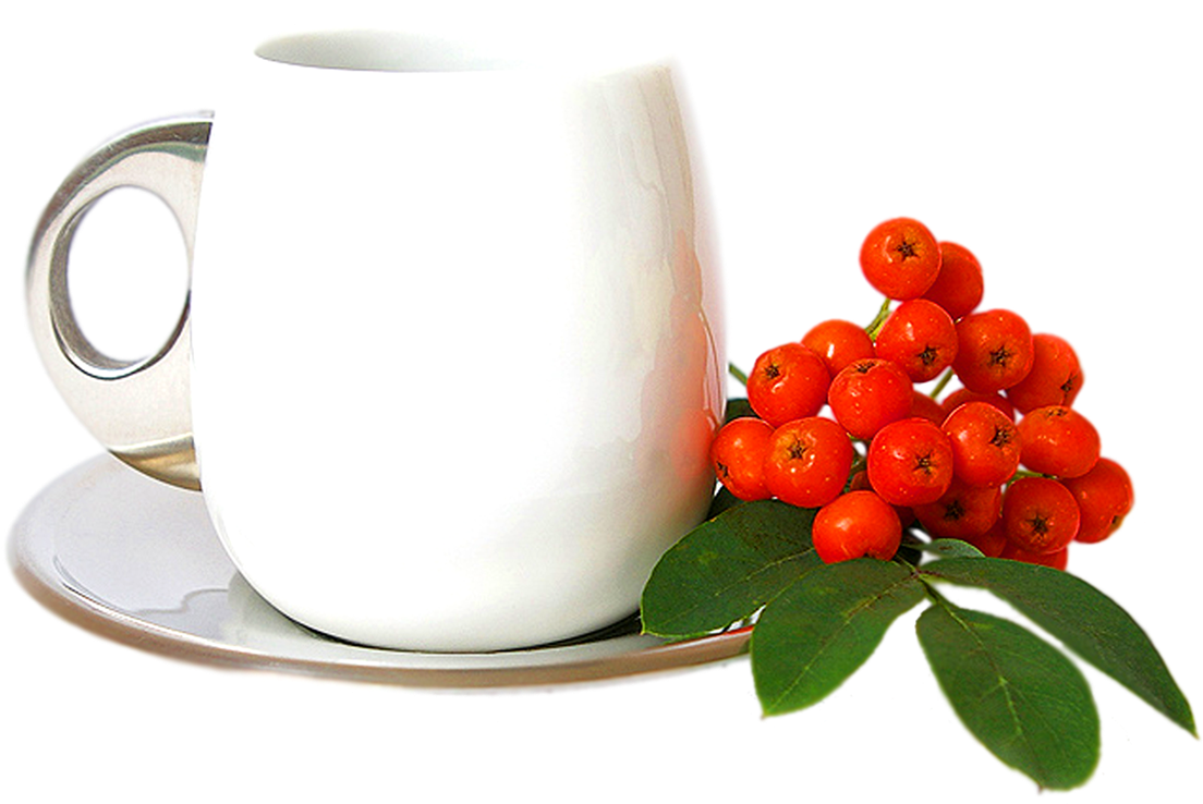 Coffee Cup Transparent Images, Green Tea Png Images - Coffee Cup, Png Download PNG with transparent background