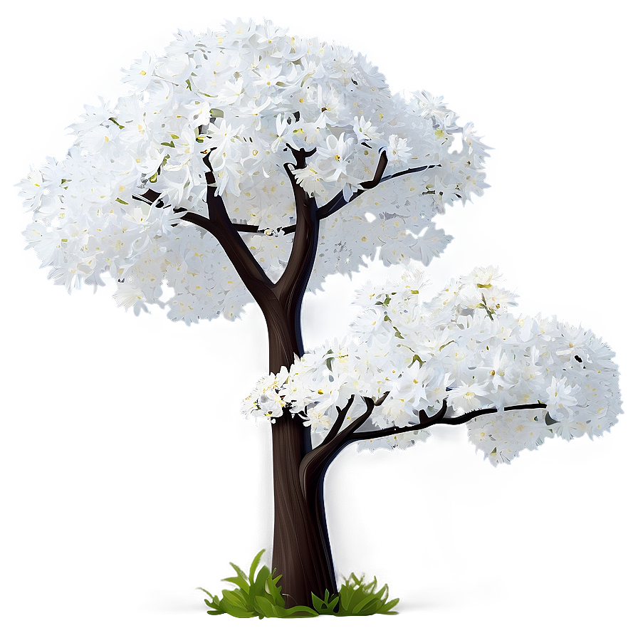 White Tree In Spring Bloom Png Wvd71