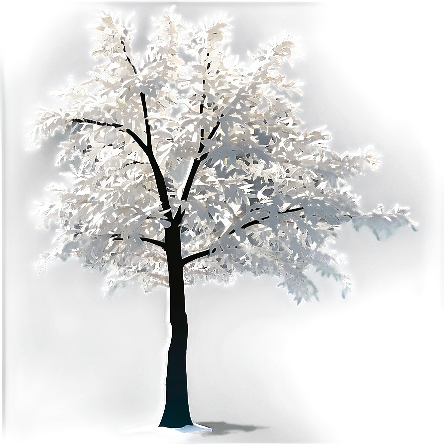 White Tree In Sunlight Glow Png 81