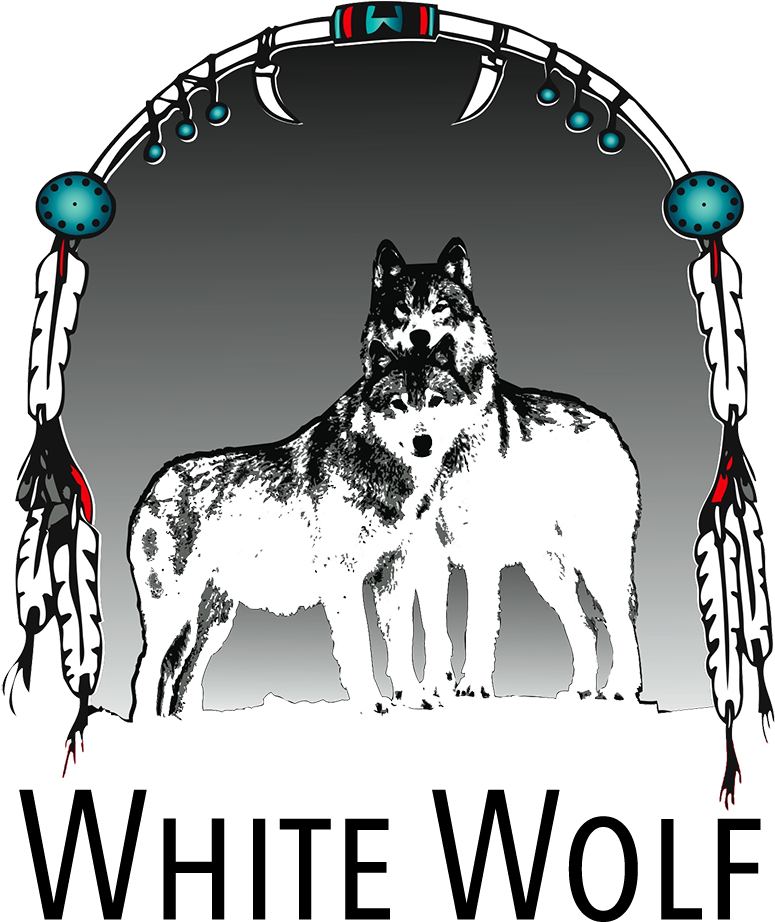 White Wolf Dreamcatcher Artwork