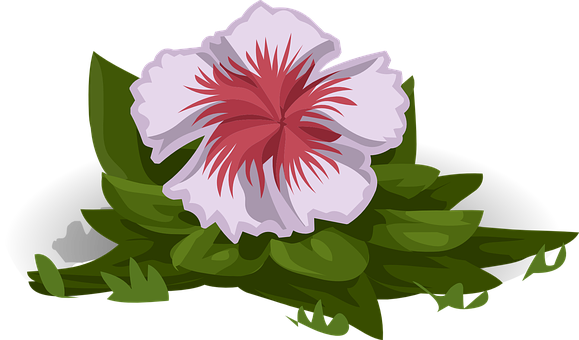 Whiteand Red Flower Illustration