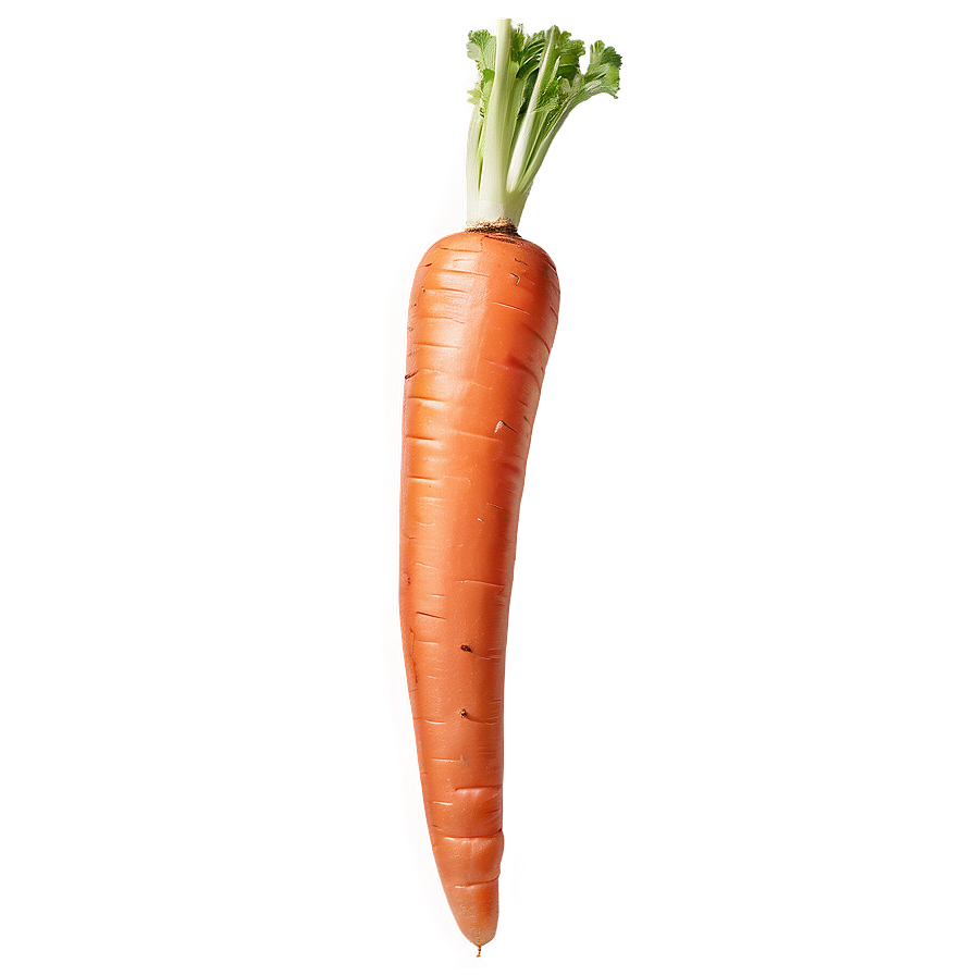 Whole Carrot PNG 05242024 PNG with transparent background