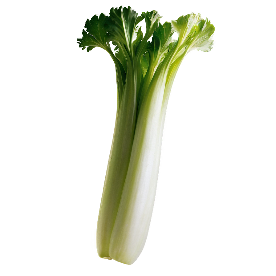 Whole Celery Bunch Png 06252024