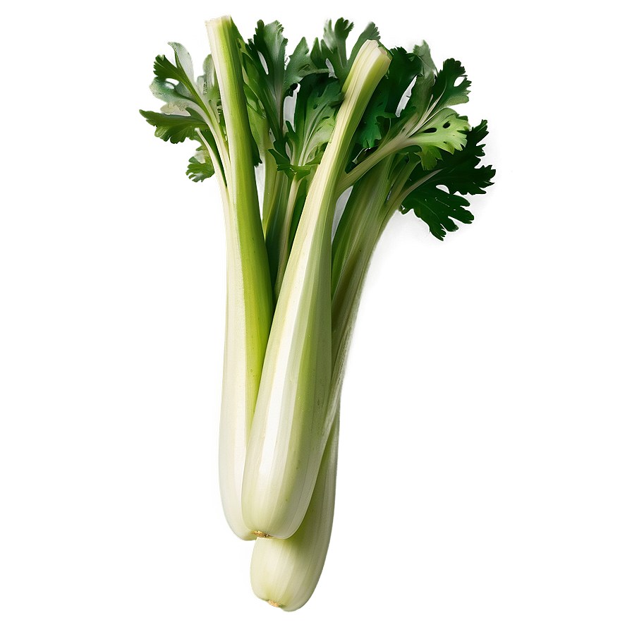 Whole Celery Bunch Png 06252024